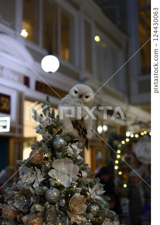 Festive Decor Featuring an Adorable Owl that Embodies the Spirit of Holiday Cheer and Joy Festive Decor Featuring an Adorable Owl that Embodies the Spirit of Holiday Cheer and Joy 124430063