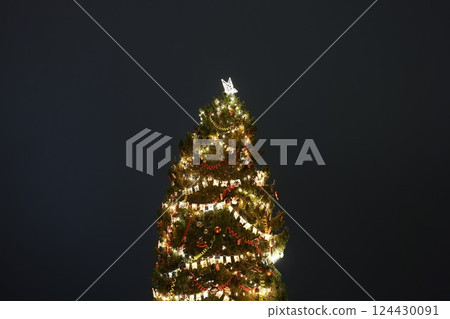 A beautifully Illuminated Christmas Tree adorned with Decorative Lights for the festive season A beautifully Illuminated Christmas Tree adorned with Decorative Lights for the festive season 124430091