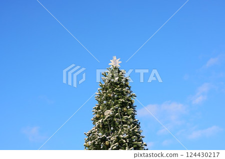 A Beautifully SnowCapped Christmas Tree Standing Majestically Against a Clear Blue Winter Sky 124430217