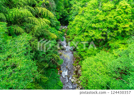 [神奈川縣] 箱根宮下的山谷，周圍綠樹成蔭 124430357