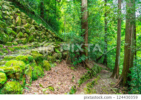 [Kanagawa Prefecture] Dogashima Valley Promenade in Miyanoshita, Hakone, surrounded by lush greenery 124430359
