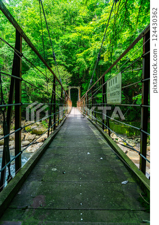 [Kanagawa Prefecture] Sakurabashi Bridge at Miyanoshita in Hakone 124430362