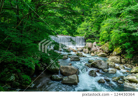 [Kanagawa Prefecture] A dam waterfall in Miyanoshita, Hakone, surrounded by lush greenery 124430364