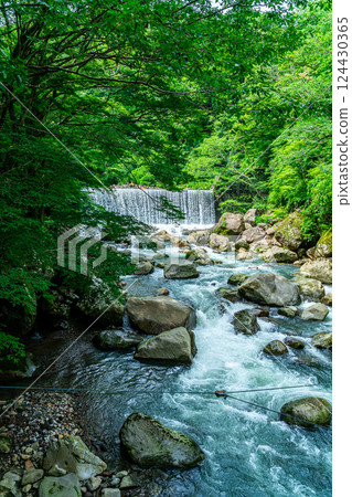 [神奈川縣] 箱根宮下的水壩瀑布，周圍綠樹環繞 124430365