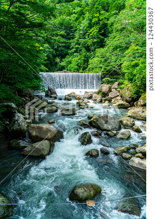 [Kanagawa Prefecture] A dam waterfall in Miyanoshita, Hakone, surrounded by lush greenery 124430367
