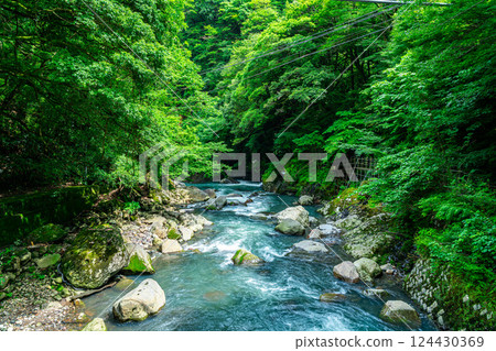 [神奈川縣] 箱根宮下的山谷，周圍綠樹成蔭 124430369