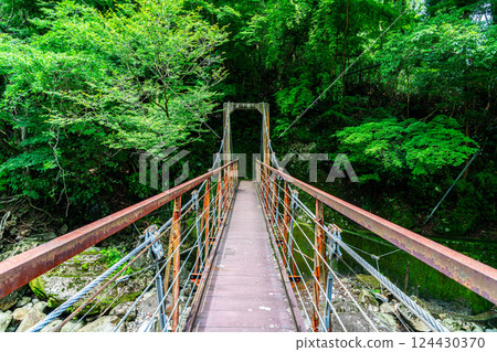 [神奈川縣] 箱根宮下的櫻橋 124430370