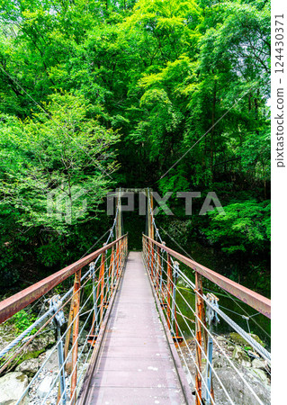 [Kanagawa Prefecture] Sakurabashi Bridge at Miyanoshita in Hakone 124430371
