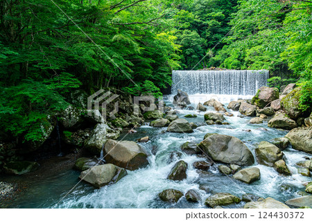 [Kanagawa Prefecture] A dam waterfall in Miyanoshita, Hakone, surrounded by lush greenery 124430372
