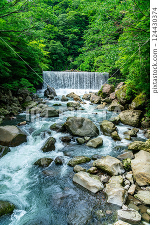 [Kanagawa Prefecture] A dam waterfall in Miyanoshita, Hakone, surrounded by lush greenery 124430374
