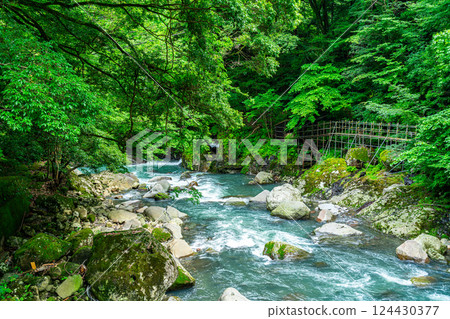 [Kanagawa Prefecture] A valley in Miyanoshita, Hakone, surrounded by lush greenery 124430377