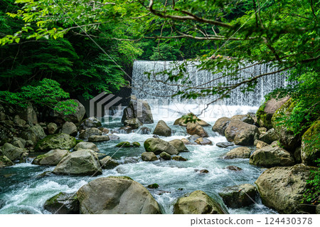 [Kanagawa Prefecture] A dam waterfall in Miyanoshita, Hakone, surrounded by lush greenery 124430378