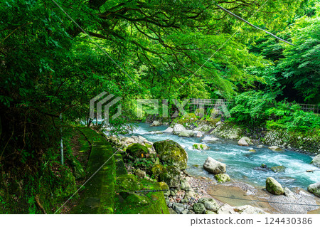 [Kanagawa Prefecture] A valley in Miyanoshita, Hakone, surrounded by lush greenery 124430386