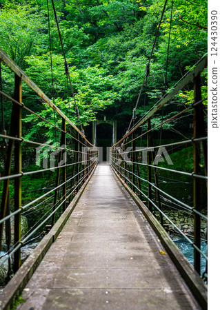 [Kanagawa Prefecture] Sakurabashi Bridge at Miyanoshita in Hakone 124430390