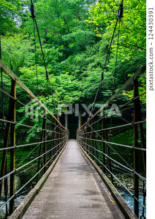 [神奈川縣] 箱根宮下的櫻橋 124430391