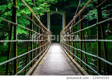 [神奈川縣] 箱根宮下的櫻橋 124430393