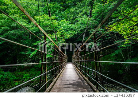 [Kanagawa Prefecture] Sakurabashi Bridge at Miyanoshita in Hakone 124430397