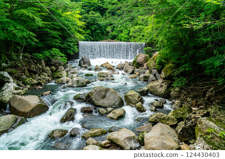 [Kanagawa Prefecture] A dam waterfall in Miyanoshita, Hakone, surrounded by lush greenery 124430403