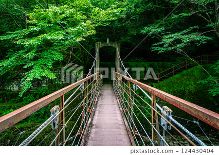 [神奈川縣] 箱根宮下的櫻橋 124430404