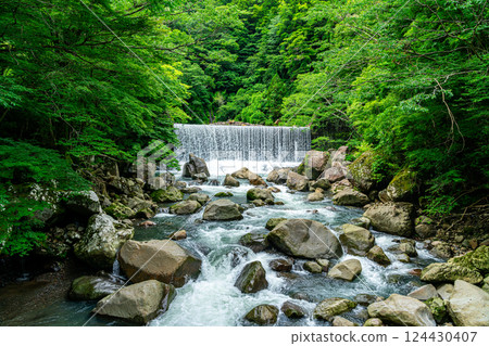 [Kanagawa Prefecture] A dam waterfall in Miyanoshita, Hakone, surrounded by lush greenery 124430407