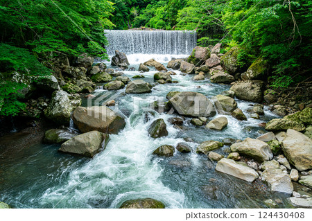 [Kanagawa Prefecture] A dam waterfall in Miyanoshita, Hakone, surrounded by lush greenery 124430408