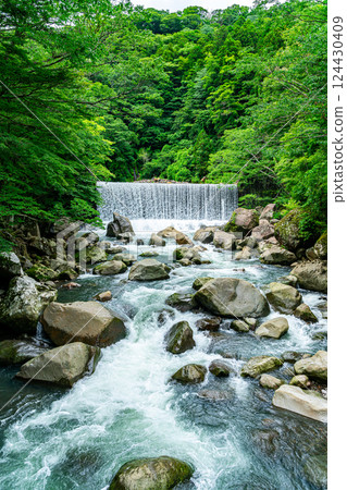 [Kanagawa Prefecture] A dam waterfall in Miyanoshita, Hakone, surrounded by lush greenery 124430409