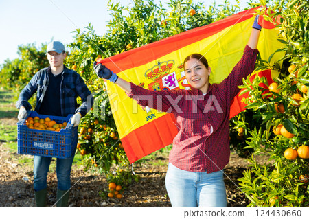 Happy young female farmer worker waving Spanish flag during harvesting tangerine season in orchard on sunny day 124430660