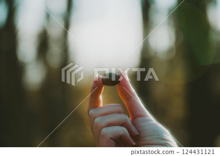 撿起橡子的那隻手 撿起橡子的那隻手 124431121