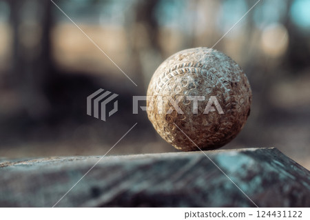 Dirty ball Dirty ball 124431122