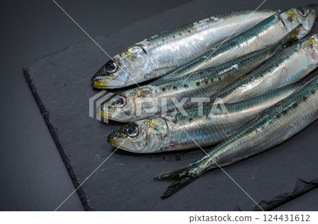 早春沙丁魚 早春沙丁魚 124431612