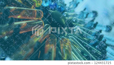 Image of mathematical equations over test tubes in lab 124431725