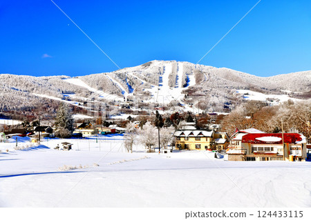 Sugadaira Plateau / View towards Pinebeak Omatsu slope (Ueda City, Nagano Prefecture) [2025.3] 124433115