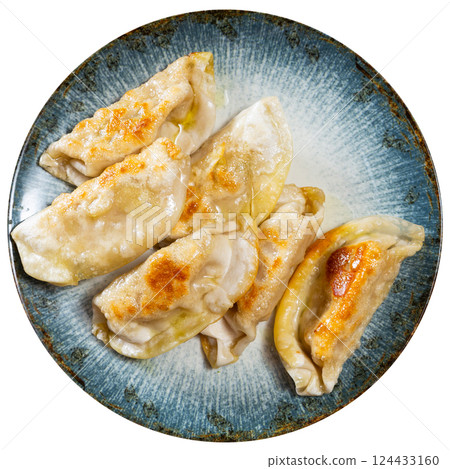 Japanese gyoza dumplings served on platter 124433160