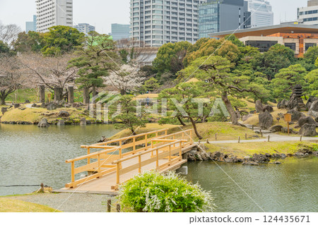 [東京] 舊芝離宮恩賜庭園的櫻花開始綻放 124435671