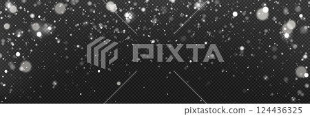 Falling snow on transparent background 124436325