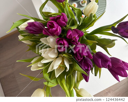 Tulip bouquet in hand with soft natural light and festive wrapping. Seasonal flower gifting and emotional expression at home. Tulip bouquet in hand with soft natural light and festive wrapping. Seasonal flower gifting and emotional expression at home. 124436442