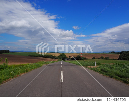 A road lined with hills in Biei, Hokkaido 124436703