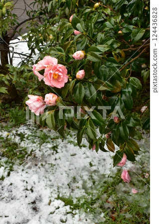 斧頭與雪 124436828