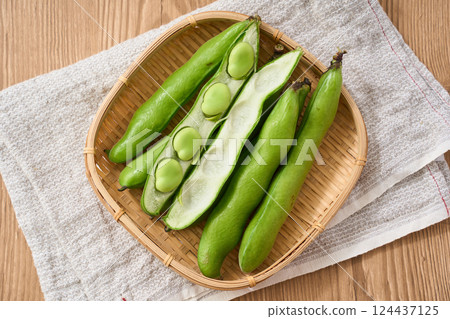 春季蠶豆 / 竹籃裡的生蠶豆 春季蠶豆 / 竹籃裡的生蠶豆 124437125