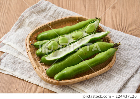 春季蠶豆 / 竹籃裡的生蠶豆 春季蠶豆 / 竹籃裡的生蠶豆 124437126