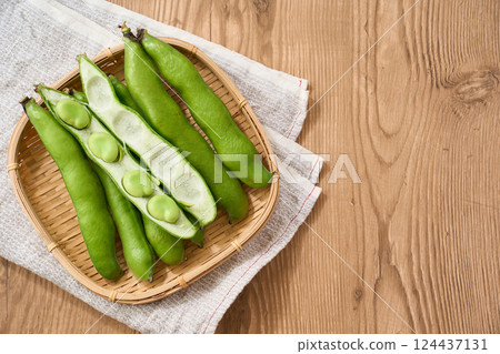 春季蠶豆 / 竹籃裡的生蠶豆 124437131