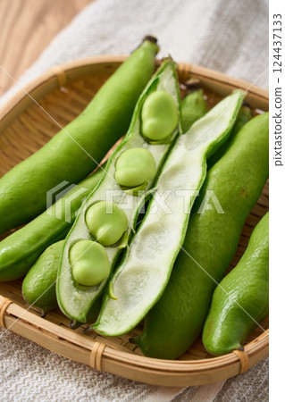 春季蠶豆 / 竹籃裡的生蠶豆 春季蠶豆 / 竹籃裡的生蠶豆 124437133