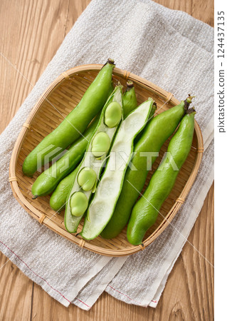 春季蠶豆 / 竹籃裡的生蠶豆 春季蠶豆 / 竹籃裡的生蠶豆 124437135