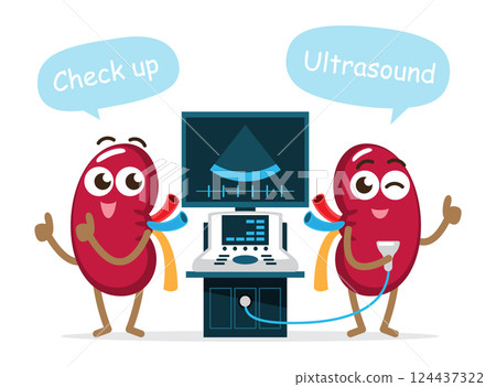 Kidney and ultrasonography machine . Cute medical cartoon character . Isolated white background . Vector . 124437322