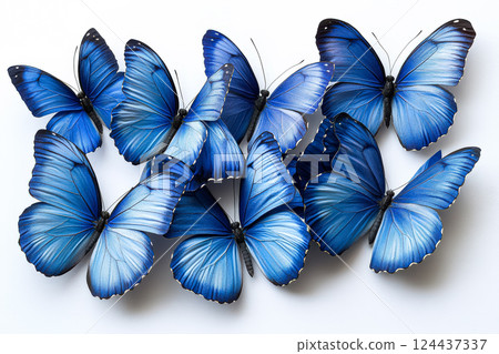 Row of blue butterflies are arranged in a pattern. 124437337
