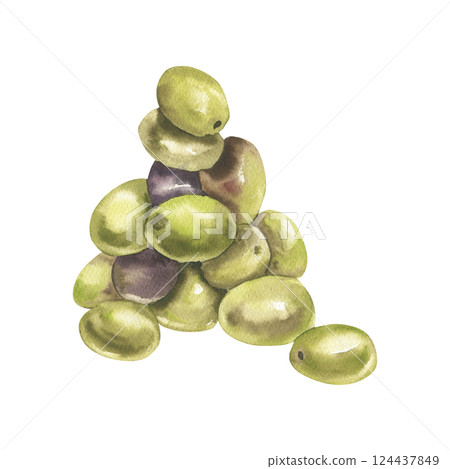 Green olives group watercolor illustration. Hand drawn vegan food clipart, Greek and Italian cuisine traditional ingredient painting for menu, product packing, label, logo design 124437849
