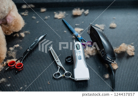 Set of tools for cutting animals in a grooming salon. Set of tools for cutting animals in a grooming salon. 124437857