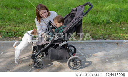 Caucasian woman walks in the park with her one-year-old son and Jack Russell Terrier dog. Caucasian woman walks in the park with her one-year-old son and Jack Russell Terrier dog. 124437908