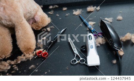 Set of tools for cutting animals in a grooming salon. Set of tools for cutting animals in a grooming salon. 124437945