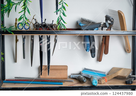 Set of tools for cutting animals in a grooming salon. Set of tools for cutting animals in a grooming salon. 124437980